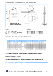 PUNZÓN PILOTO CÓNICO NORMA ISO-8020