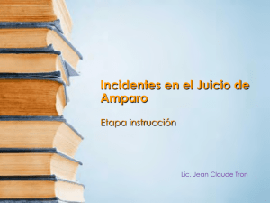 4.3 Incidentes (etapa de instrucción)