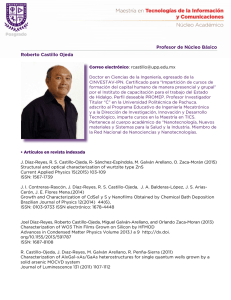 Profesor de Núcleo Básico Roberto Castillo Ojeda