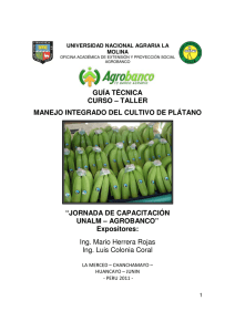 Manejo integrado del cultivo de plátano