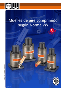 Muelles de aire comprimido según Norma VW