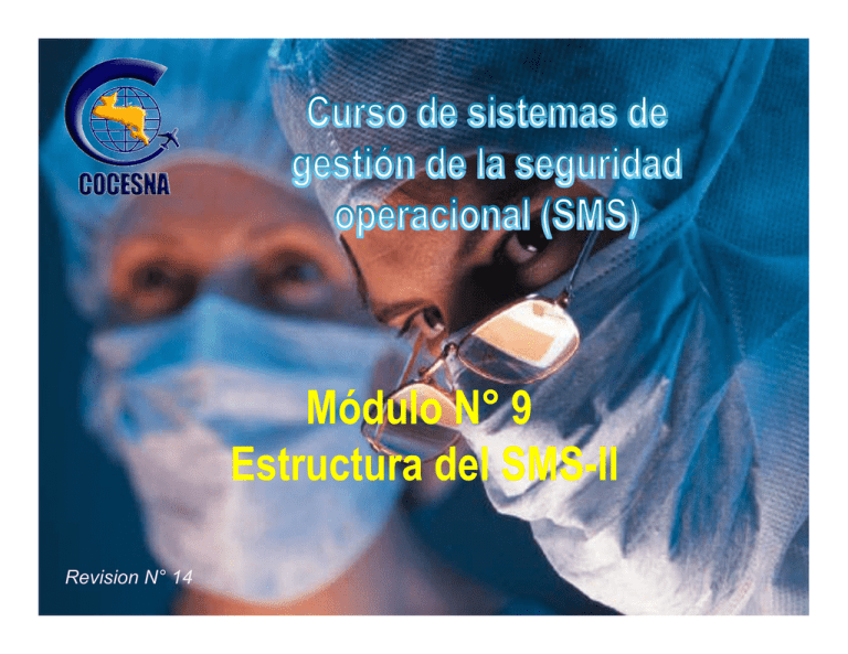 Módulo N° 9 Estructura Del SMS-II