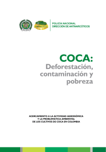 Coca: Deforestación, contaminación y pobreza