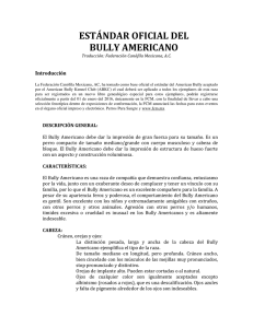 estándar oficial del bully americano