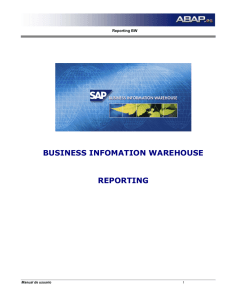Descargas/BW - Manual Reporting