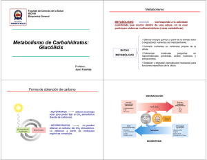 Metabolismo de Carbohidratos: Glucólisis