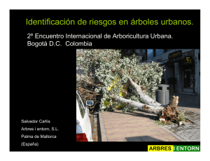 Identificación de riesgos en árboles urbanos