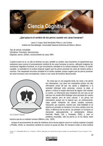 ¿Qué pasa en el cerebro de los perros cuando ven caras humanas?