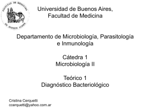 Universidad de Buenos Aires, Facultad de Medicina Departamento