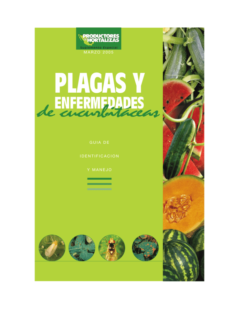 Plagas Y Enfermedades - Vegetable MD Online