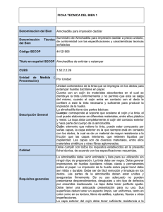 FICHA TECNICA DEL BIEN 1 Denominación del Bien Almohadilla
