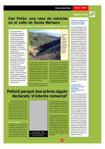 Petició perquè dos arbres siguin declarats `d`interès comarcal`