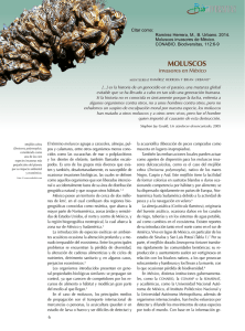 Moluscos - Biodiversidad Mexicana