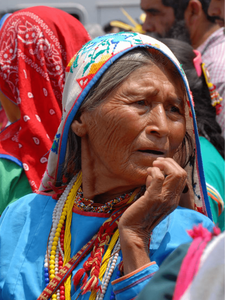 Regiones, Territorio, Lenguas Y Cultura De Los Pueblos Indígenas