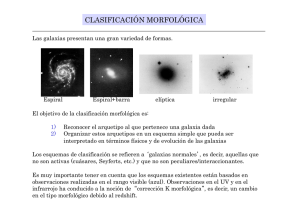 clasificación morfológica