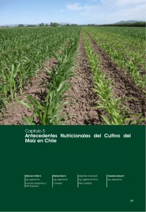 Antecedentes Nutricionales del Cultivo del Maíz en Chile