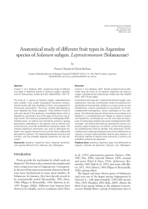 Anatomical study of different fruit types in Argentine species of