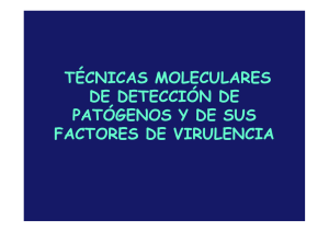 Tema 9. Técnicas moleculares de detección de patógenos y de sus
