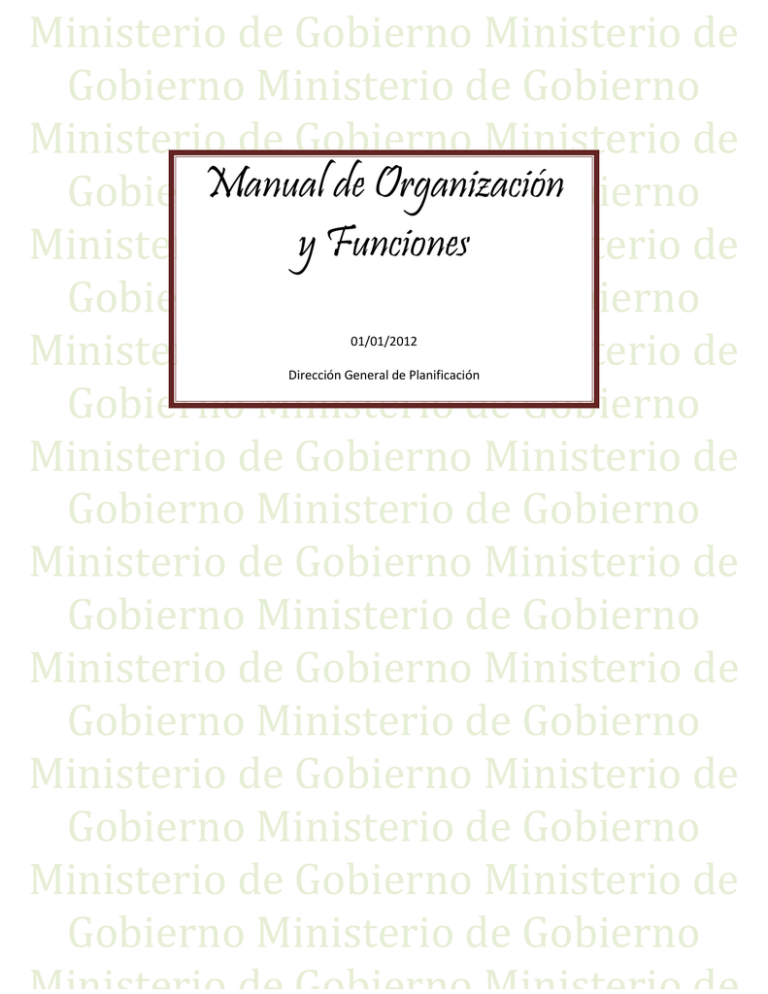 Manual De Organización Y Funciones