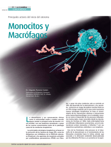 Monocitos y Macrófagos