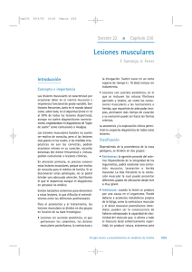 Lesiones musculares (Cap 230)