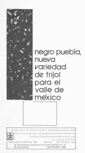 negro pueblo - Biblioteca digital INIFAP