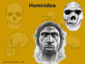 hominidae-1230814247423758-2