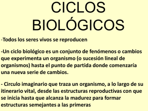 CICLOS BIOLÓGICOS