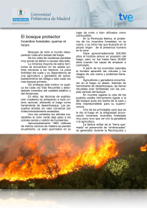Incendios_files/Incendios forestales_quemar el futuro