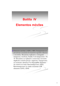Bolilla IV Elementos móviles