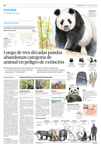 Luego de tres décadas pandas abandonan categoría de animal en