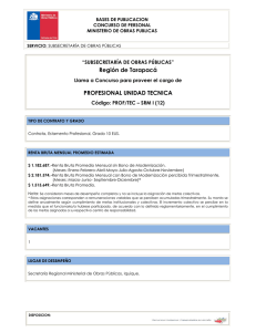 Profesional Unidad Técnica - Ministerio de Obras Públicas