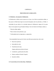 CAPITULO 3. PRINCIPIOS DE FLUIDIZACIÓN. 3.1 Definición y