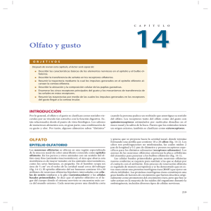 Olfato_y_gusto - McGraw Hill Higher Education