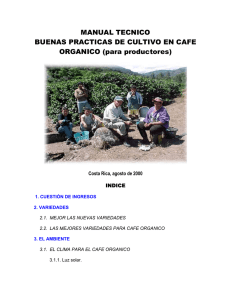 Manual técnico de buenas practicas de cultivo en café