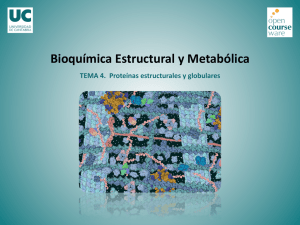 TEMA 4. Proteínas estructurales y globulares