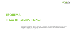 Esquema / Resumen Tema 1 Auxilio Judicial