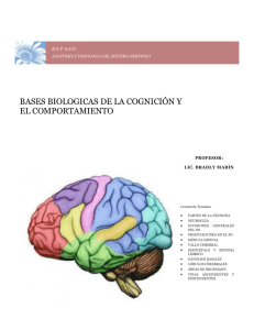 Neuroglía - Bases biológicas de la cognición y la conducta
