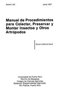 Manual para Colectar Insectos