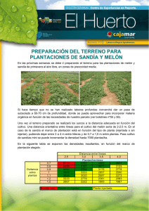preparación del terreno para plantaciones de sandía y melón