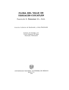 Cistaceae A.L. Juss - Instituto de Biolog&iacute;a