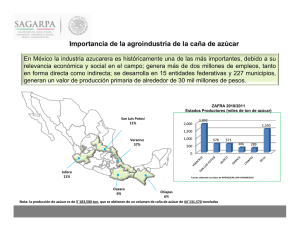 Impactos Caña de Azucar