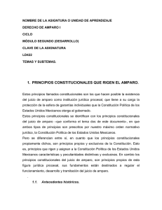 1. PRINCIPIOS CONSTITUCIONALES QUE RIGEN EL AMPARO.