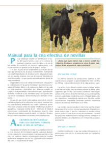 Manual para la cría efectiva de novillas