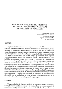 una nueva especie de pez s tellifer del genero perciformes