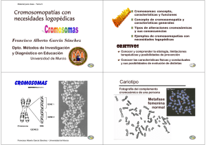 Cromosomas - OCW - Universidad de Murcia