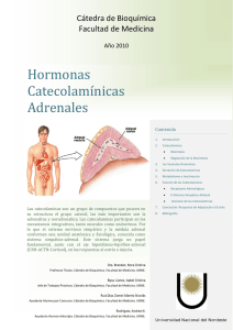 Hormonas Catecolamínicas Adrenales - Facultad de Medicina