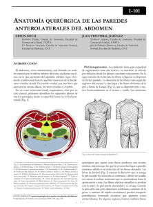 Anatomía quirúrgica de las paredes anterolaterales del abdomen.