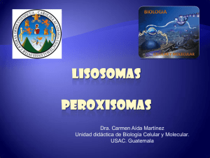 LISOSOMAS peroxisomas - Biología Celular y Molecular