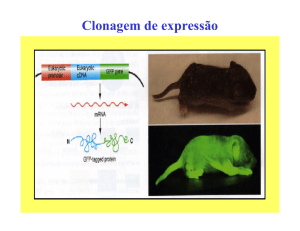 Clonagem de expressão - Biologia Molecular e Genética